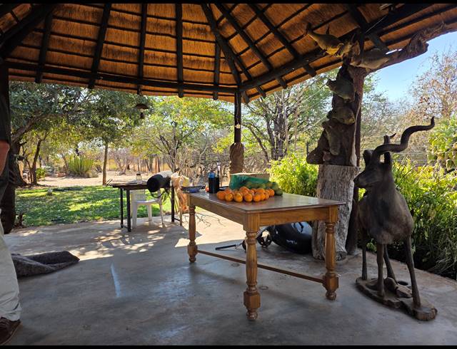 43HA FARM FOR SALE IN MOPANE